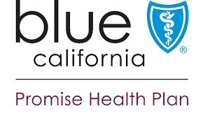 Blue Shield Promise